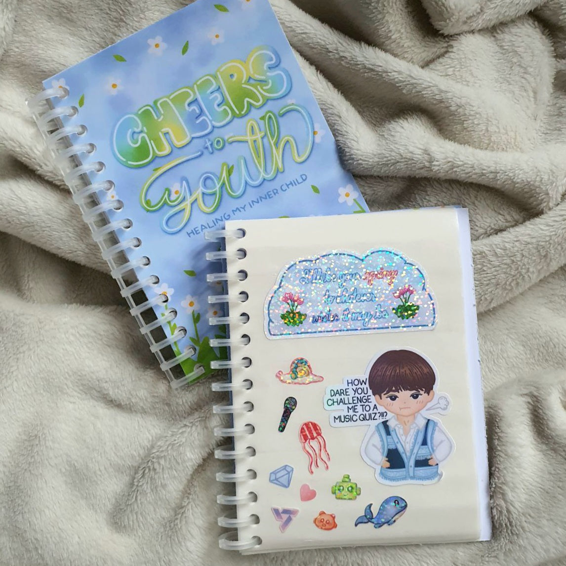 SEVENTEEN Cheers to Youth Reusable Sticker Album