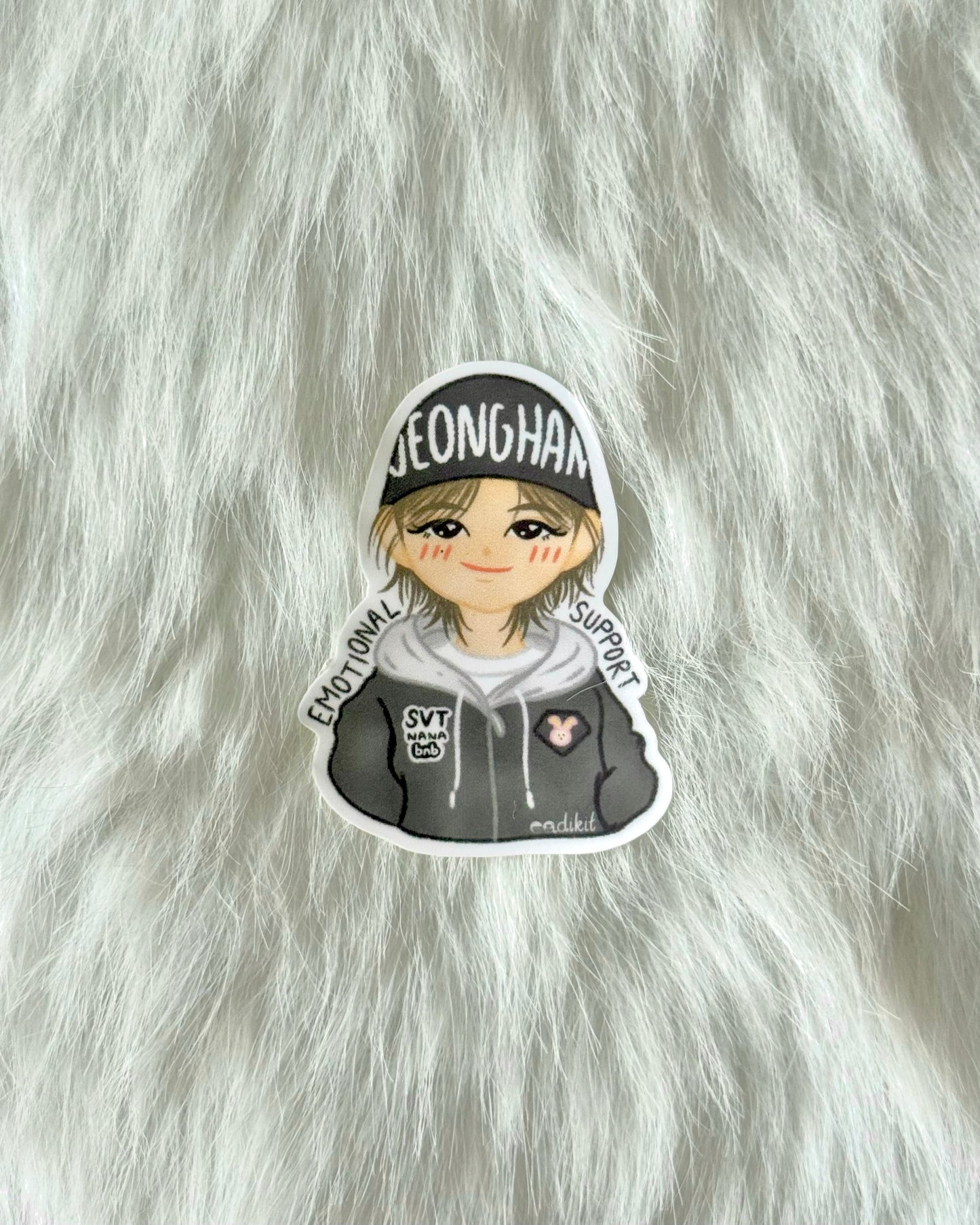 Nana BNB with SEVENTEEN Chibi Stickers