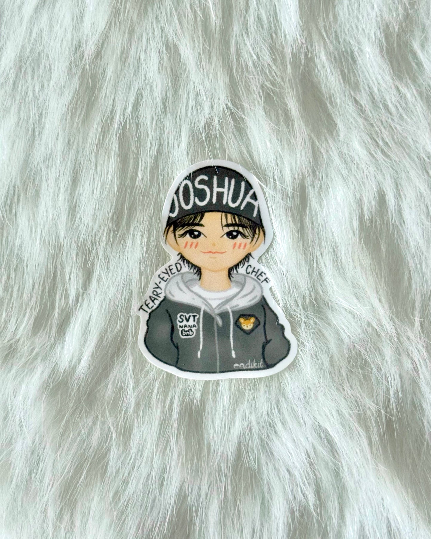 Nana BNB with SEVENTEEN Chibi Stickers